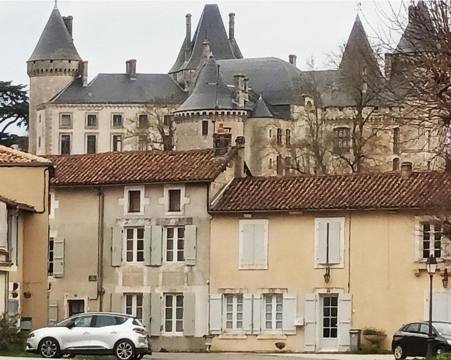 Au Bord De La Riviere Appartement Verteuil-sur-Charente Buitenkant foto